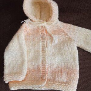 Hand Knit Hooded Sweater #1